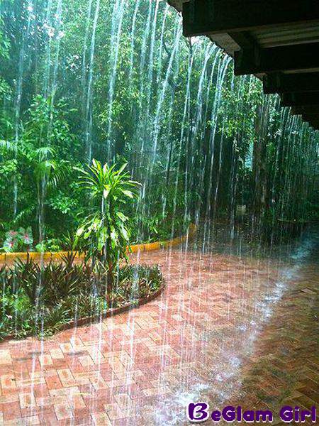 Top Rain and Nature DP Ideas for WhatsApp